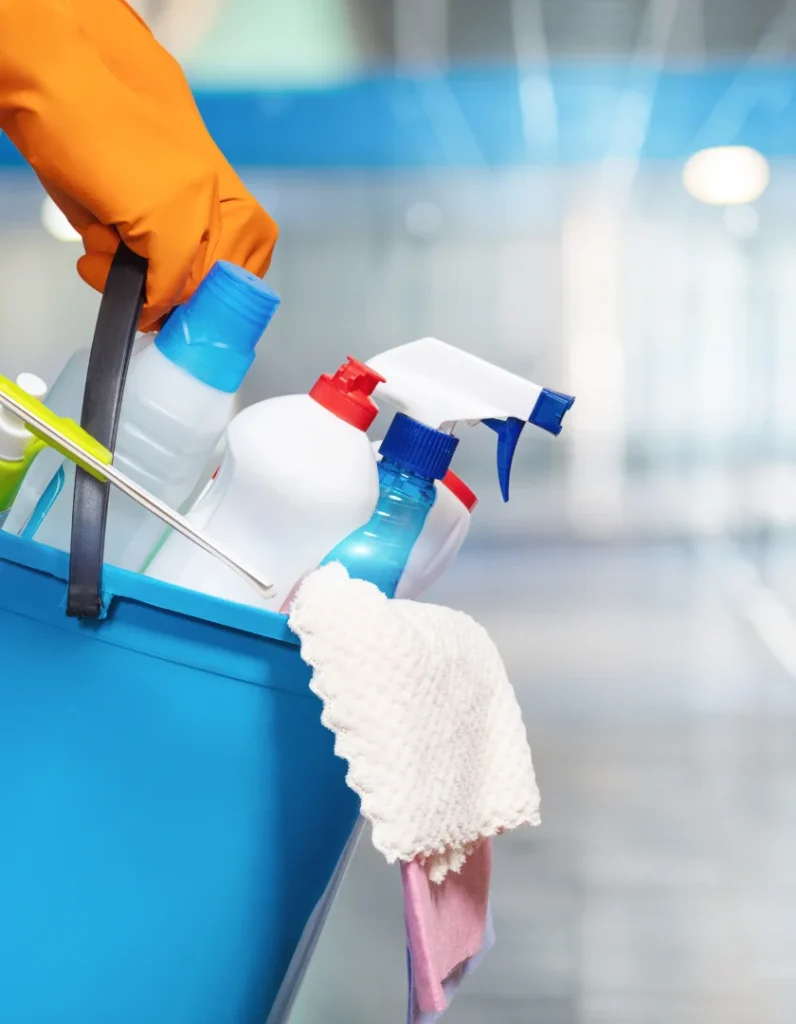 Cleaning Needs for Newbury Park Homes and Rentals
