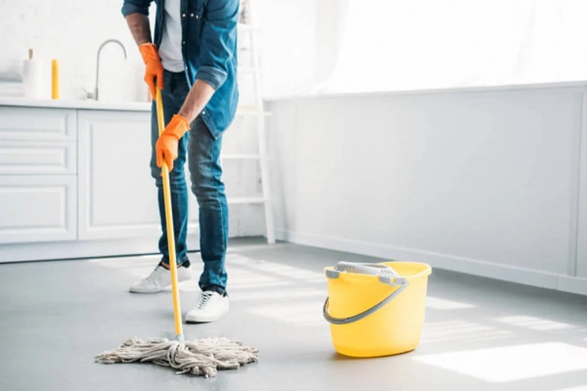 House Cleaners in Newbury Park, CA